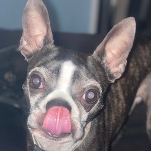 Meet your Posher, Jamie